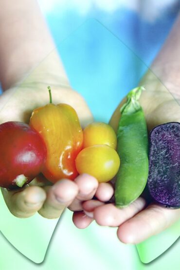 Gastronomía sostenible.