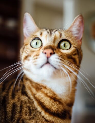 generaciones y compradores de vivienda