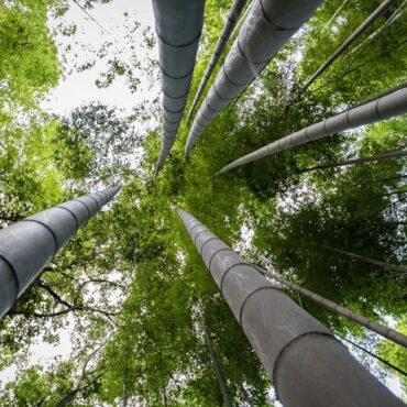 Contruccion sostenible