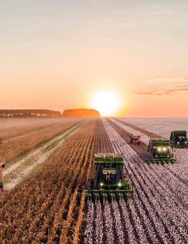 agricultura regenerativa