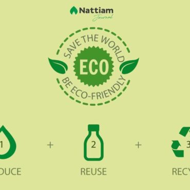 alternativas ecologicas