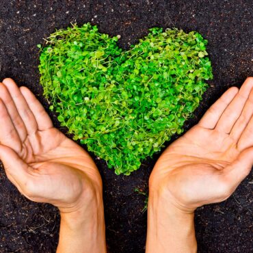 estilo de vida saludable