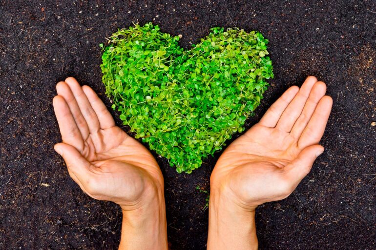 estilo de vida saludable