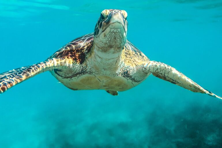 salvar ecosistema con nuestras acciones